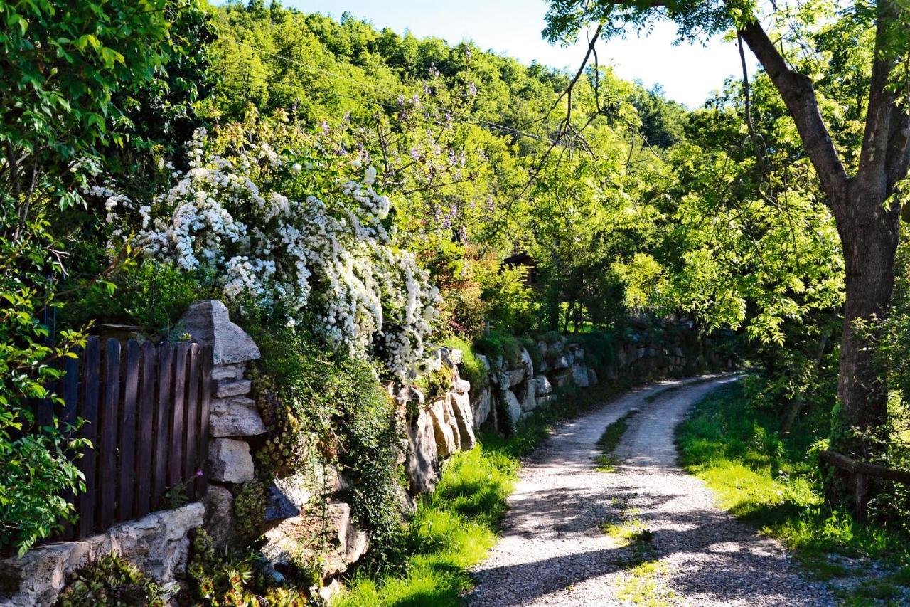 Casetta Nel Bosco Naturas Con Piscina Privata E Gratuita Rossana Exterior foto