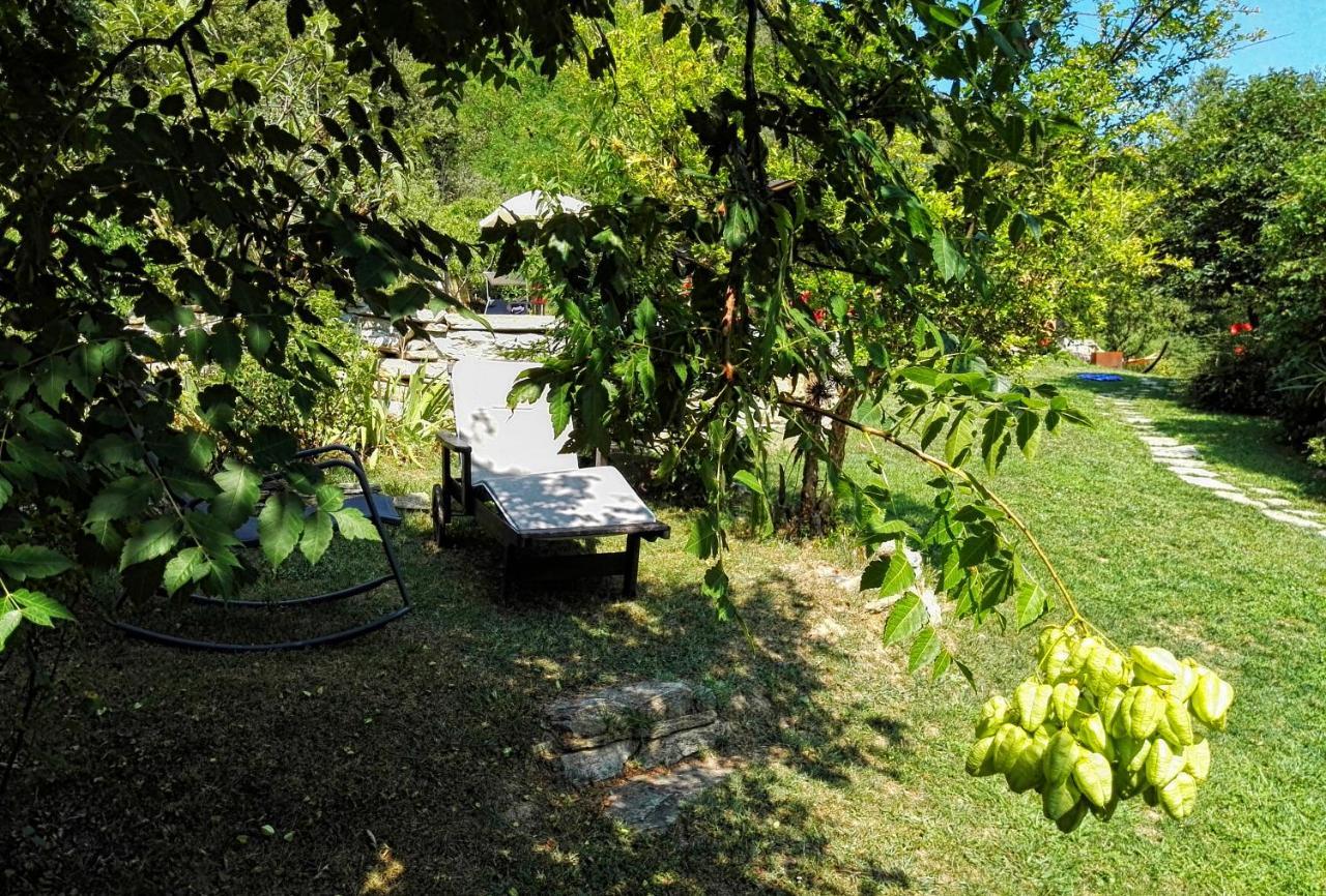 Casetta Nel Bosco Naturas Con Piscina Privata E Gratuita Rossana Exterior foto