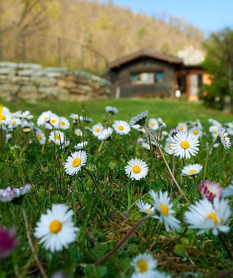 Casetta Nel Bosco Naturas Con Piscina Privata E Gratuita Rossana Exterior foto